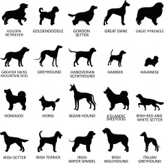 Stèle en plexi transparent  pour rendre hommage à votre ami chien, entièrement personnalisable et résistante aux intempéries