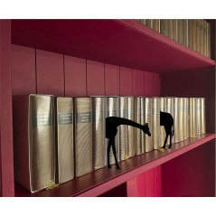 Girafe - Intercalaire de bibliothèque