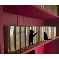 Chat 4 - Intercalaire de bibliothèque