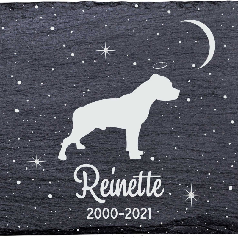 Pitbull terrier américain - Stèle funéraire en ardoise naturelle personnalisable en souvenir d'un chien Pitbull terrier américain - Stèle funéraire en ardoise naturelle personnalisable en souvenir d'un chien