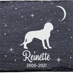 Chien de rouge de Bavière - Stèle funéraire en ardoise naturelle personnalisable en souvenir d'un chien