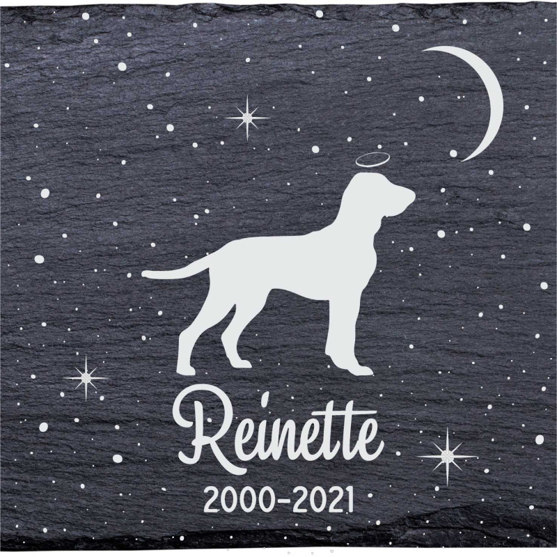 Bracco italien - Stèle funéraire en ardoise naturelle personnalisable en souvenir d'un chien Bracco italien - Stèle funéraire en ardoise naturelle personnalisable en souvenir d'un chien