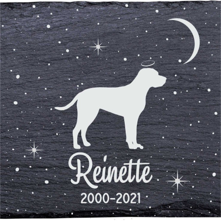 Braque du Bourbonnais - Stèle funéraire en ardoise naturelle personnalisable en souvenir d'un chien