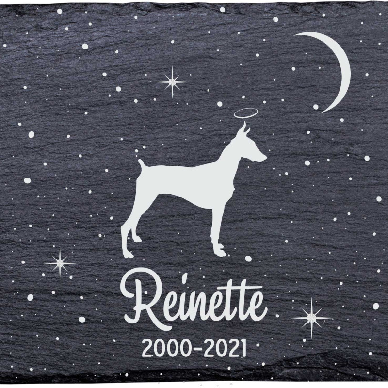 Doberman pinscher - Stèle funéraire en ardoise naturelle personnalisable en souvenir d'un chien Doberman pinscher - Stèle funéraire en ardoise naturelle personnalisable en souvenir d'un chien