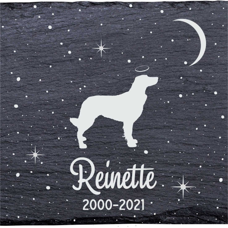Épagneul français - Stèle funéraire en ardoise naturelle personnalisable en souvenir d'un chien