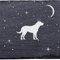 Grand bouvier suisse - Stèle funéraire en ardoise naturelle personnalisable en souvenir d'un chien