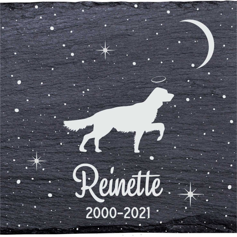 Setter irlandais rouge et blanc - Stèle funéraire en ardoise naturelle personnalisable en souvenir d'un chien Setter irlandais rouge et blanc - Stèle funéraire en ardoise naturelle personnalisable en souvenir d'un chien