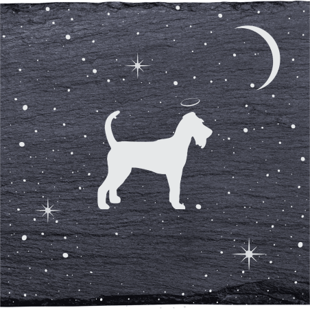 Terrier irlandais - Stèle funéraire en ardoise naturelle personnalisable en souvenir d'un chien