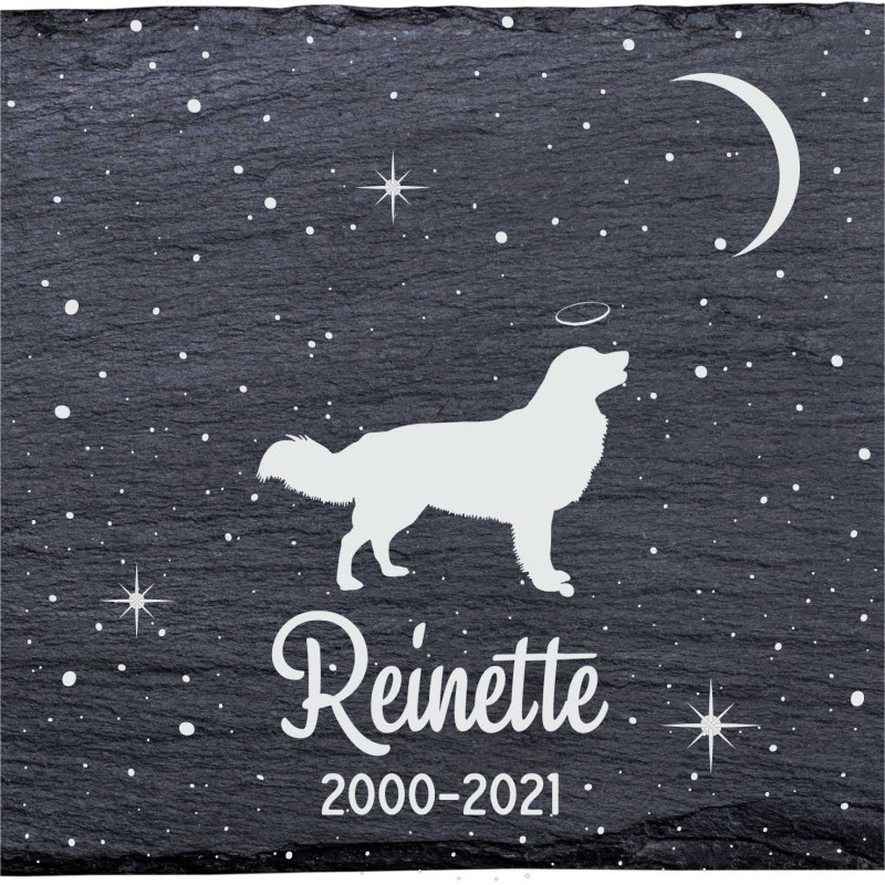 Retriever de la Nouvelle-Écosse - Stèle funéraire en ardoise naturelle personnalisable en souvenir d'un chien Retriever de la Nouvelle-Écosse - Stèle funéraire en ardoise naturelle personnalisable en souvenir d'un chien
