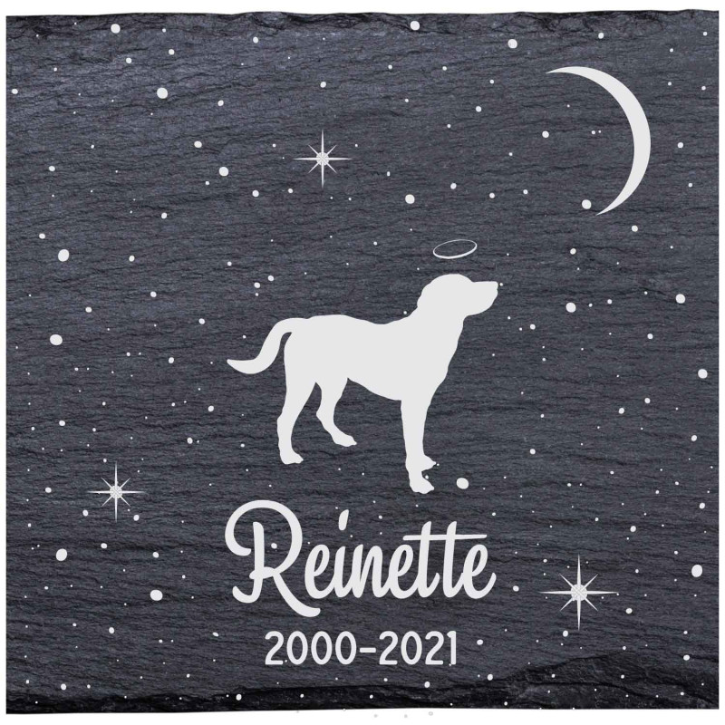 Springador - Stèle funéraire en ardoise naturelle personnalisable en souvenir d'un chien Springador - Stèle funéraire en ardoise naturelle personnalisable en souvenir d'un chien