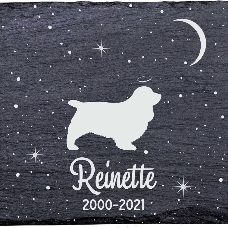 Épagneul du Sussex - Stèle funéraire en ardoise naturelle personnalisable en souvenir d'un chien Épagneul du Sussex - Stèle funéraire en ardoise naturelle personnalisable en souvenir d'un chien