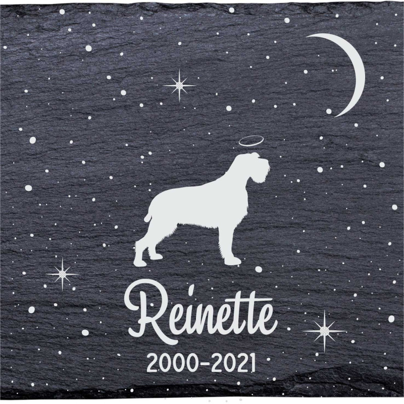 Griffon d'arrêt à poil dur - Stèle funéraire en ardoise naturelle personnalisable en souvenir d'un chien Griffon d'arrêt à poil dur - Stèle funéraire en ardoise naturelle personnalisable en souvenir d'un chien