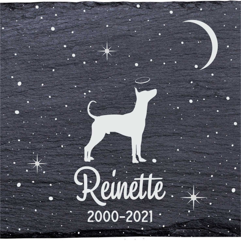 Chien nu mexicain - Stèle funéraire en ardoise naturelle personnalisable en souvenir d'un chien